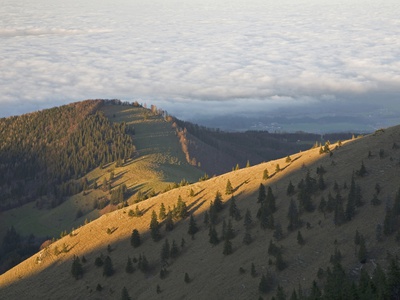 Germany, Bavaria, Chiemgau Alps, Mountain Scenery With Cloud Layer by Fotofeeling Pricing Limited Edition Print image