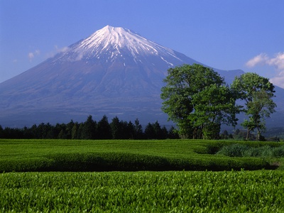 Snow Capped Mountain And Hedges by Hisashi Mochizuki Pricing Limited Edition Print image