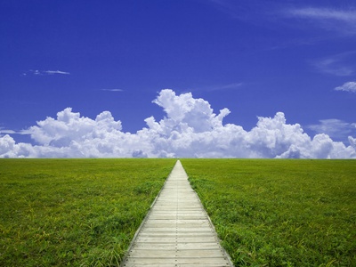 Wooden Walkway Through Grassland by Fujitashyouji Pricing Limited Edition Print image