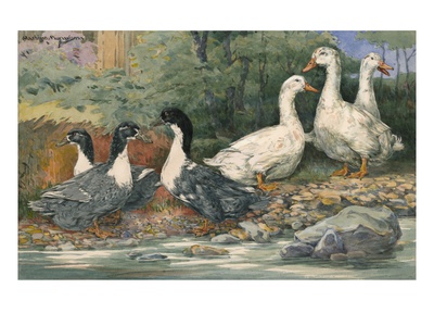 A Painting Of Blue Swedish Ducks And Aylesbury Ducks by Hashime Murayama Pricing Limited Edition Print image