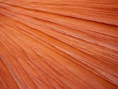 Usa Utah South Coyote Buttes Sandstone Rock Close-Up Full Frame by Fotofeeling Pricing Limited Edition Print image