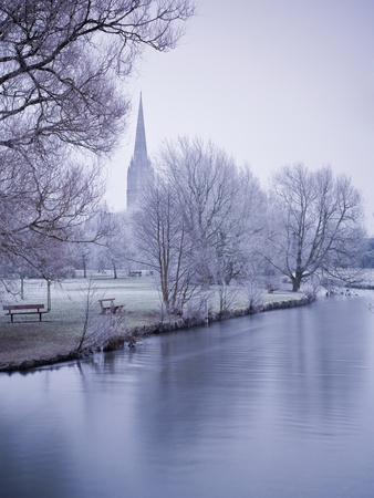 Salisbury Cathedral From Tow Path by Mark Bauer Pricing Limited Edition Print image