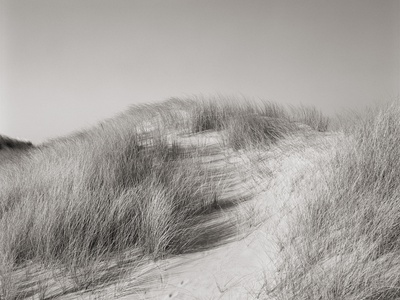 Sylt Xiv by Nicola Dill Pricing Limited Edition Print image