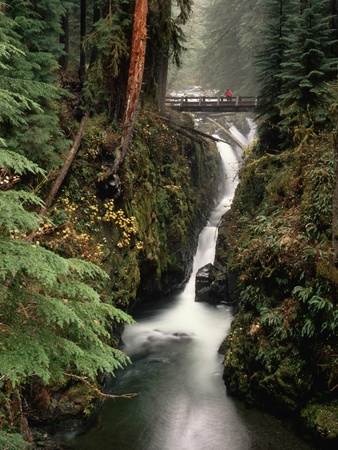 Bridge Over Soleduck Falls by Pat O'hara Pricing Limited Edition Print image