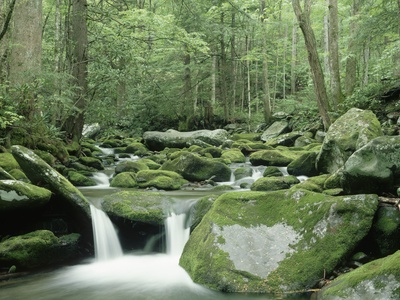 Roaring Fork River In Tennessee, Usa by Pat O'hara Pricing Limited Edition Print image