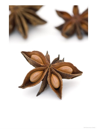Star Anise, Illicium Verum by Geoff Kidd Pricing Limited Edition Print image