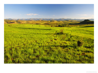 Rural Scene Near Fouriesburg, South Africa, View Towards The Maluti Mountains And Lesotho by Roger De La Harpe Pricing Limited Edition Print image