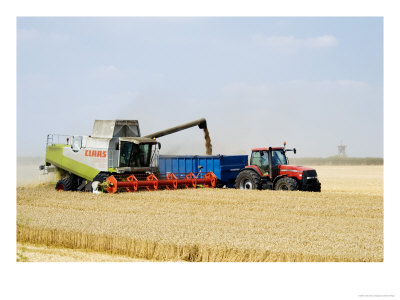Combine Harvester Unloading Grain Into Trailer, England by Martin Page Pricing Limited Edition Print image