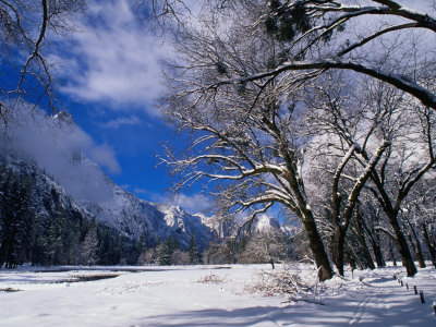 Winter Countryside Under Snow, Yosemite Valley, California, Usa by Thomas Winz Pricing Limited Edition Print image