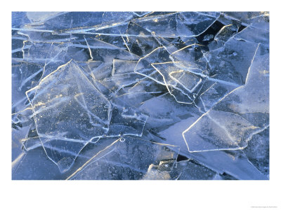 Sheets Of Broken Ice, Close-Up Detail, Feb, Highland, Uk by Mark Hamblin Pricing Limited Edition Print image