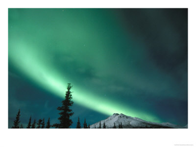 Northern Lights, Aurora Borealis, Brooks Range, Arctic National Wildlife Refuge, Alaska, Usa by Steve Kazlowski Pricing Limited Edition Print image