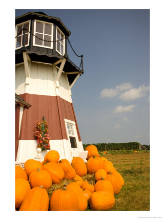 Farmlands And Flower Fields, The Hamptons, New York, Usa by Michele Westmorland Pricing Limited Edition Print image