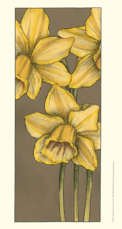Graphic Flower Panel Iv by Jennifer Goldberger Pricing Limited Edition Print image