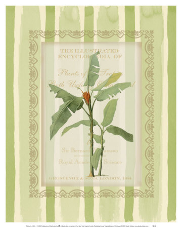 Tropical Botanical Ii by Gwynn Goodner Pricing Limited Edition Print image