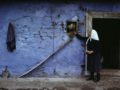 Woman Feeds Chickens Perched In The Window Of A Barn, Parnica, Slovakia by John Eastcott & Yva Momatiuk Pricing Limited Edition Print image