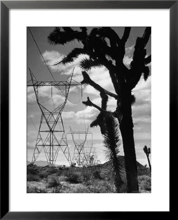 Power Line That Carries Current From Hoover Dam To Los Angeles, In Mojave Desert by Loomis Dean Pricing Limited Edition Print image