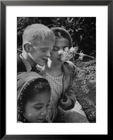 Blind School Children During An Outing In Brooklyn Botanical Gardens Of Fragrance by Lisa Larsen Pricing Limited Edition Print image