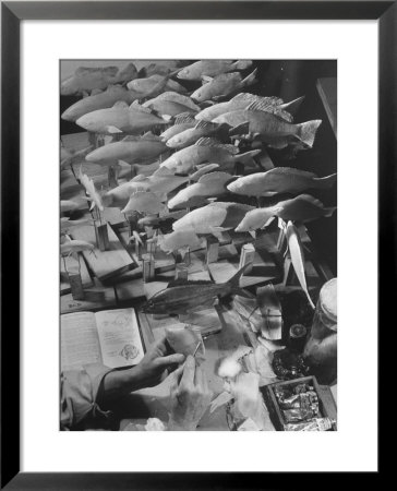 American Museum Of Natural History Artist Brunner Working On Plaster Molds Made From Real Fish by Margaret Bourke-White Pricing Limited Edition Print image