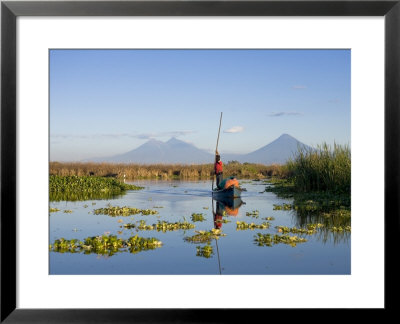 Fisherman, Agua And Pacaya Volcanoes In The Background, Monterrico, Pacific Coast, Guatemala by Michele Falzone Pricing Limited Edition Print image