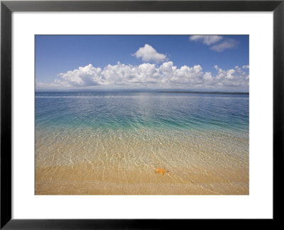 Colon Island Star Beach, Bocas Del Toro Province, Panama by Jane Sweeney Pricing Limited Edition Print image