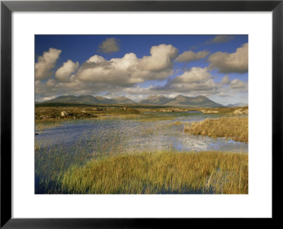 Ballynahinch And The Twelve Pins, Connemara, County Galway, Connacht, Republic Of Ireland by Patrick Dieudonne Pricing Limited Edition Print image