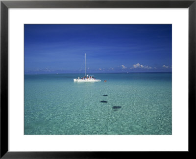 Yacht Moored In The North Sound, With Stringrays Visible Beneath The Water, Cayman Islands by Tomlinson Ruth Pricing Limited Edition Print image