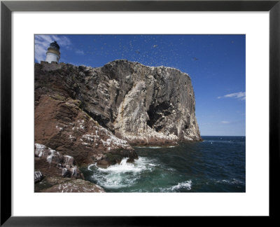 Bass Rock, Firth Of Forth, Scotland, United Kingdom, Europe by Toon Ann & Steve Pricing Limited Edition Print image