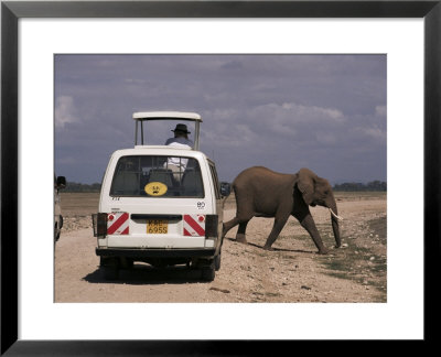 Tourist Safari Vehicle And Elephant, Amboseli National Park, Kenya, East Africa, Africa by Charles Bowman Pricing Limited Edition Print image