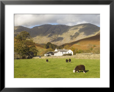 Wasdale Head With Pillar 2927Ft Behind, Wasdale Valley, Lake District National Park, England by James Emmerson Pricing Limited Edition Print image
