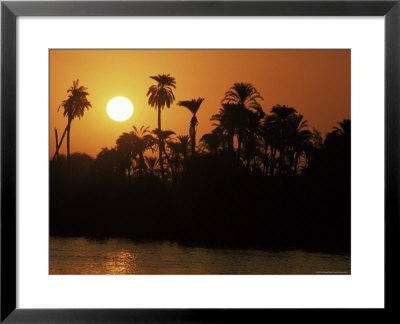 Sun Setting Behind Palms Across The River Nile's West Bank, Luxor, Thebes, Egypt by Ken Gillham Pricing Limited Edition Print image
