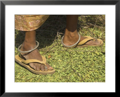 Female Farmer's Feet Standing On Henna Leaves, Village Of Borunda, India by Eitan Simanor Pricing Limited Edition Print image