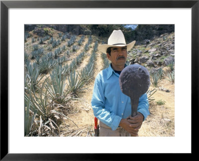 Tequila Plantation Worker, Mexico, North America by Michelle Garrett Pricing Limited Edition Print image