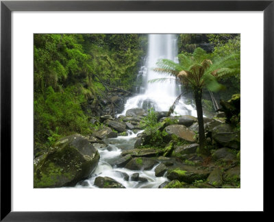 Erskine Fall, Angahook National Forest, Great Ocean Road, Victoria, Australia by Thorsten Milse Pricing Limited Edition Print image