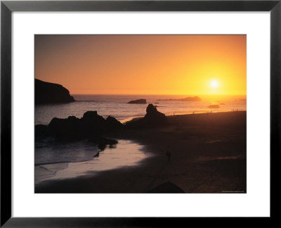 Harris Beach State Park, Brookings, Oregon, Usa by Michael Snell Pricing Limited Edition Print image