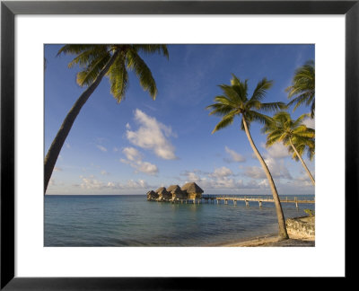 Pearl Beach Resort, Tikehau, Tuamotu Archipelago, French Polynesia, Pacific Islands, Pacific by Sergio Pitamitz Pricing Limited Edition Print image