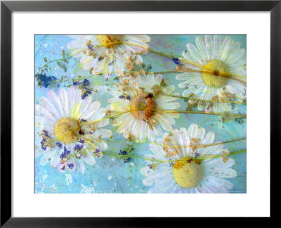 Pure by Alaya Gadeh Pricing Limited Edition Print image