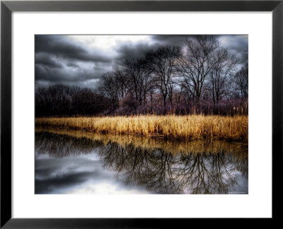 Spring Storm by Stephen Arens Pricing Limited Edition Print image