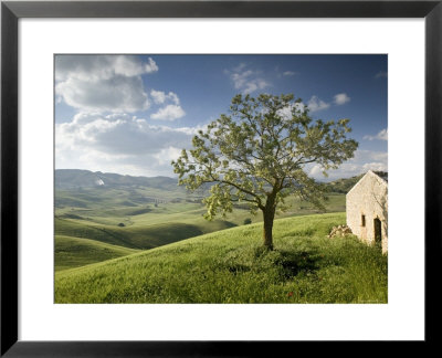 Pergusa, Nr. Enna, Sicily, Italy by Walter Bibikow Pricing Limited Edition Print image