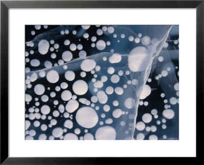 Air Bubbles Frozen In Ice, Alaska by Michael S. Quinton Pricing Limited Edition Print image