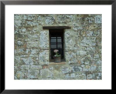 Flower Pot In The Window Of A Tuscan Villa, Tuscany, Italy by Todd Gipstein Pricing Limited Edition Print image