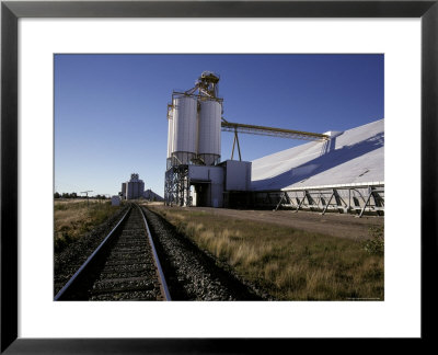 Railway Line Tracks Leading To A Wheat Depot With Silos, Australia by Jason Edwards Pricing Limited Edition Print image