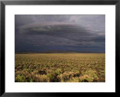 Photograph Of Sagebrush Fields North Of Susanville On Highway 395, California by Phil Schermeister Pricing Limited Edition Print image