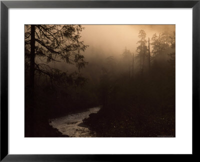 South Fork Of Smith River At Sunrise, California by Phil Schermeister Pricing Limited Edition Print image