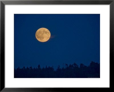 Full Moon On A Summer Night by Taylor S. Kennedy Pricing Limited Edition Print image