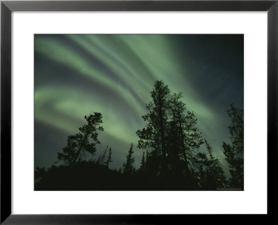 Brilliant Display Of Aurorae In The Yukon Territory by Paul Nicklen Pricing Limited Edition Print image