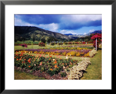 West Indies by Eliot Elisofon Pricing Limited Edition Print image