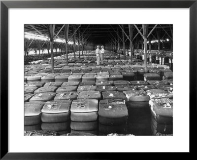 Archie Underwood And Another Man Standing On Top Of Great Bales Of Cotton In One Of His Warehouses by Alfred Eisenstaedt Pricing Limited Edition Print image