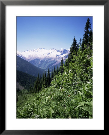 Bonney Range, Glacier National Park, Rocky Mountains, British Columbia, Canada by Geoff Renner Pricing Limited Edition Print image