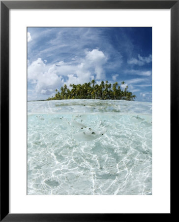 Rangiroa, Tuamotu Archipelago, French Polynesia, Pacific Islands, Pacific by Sergio Pitamitz Pricing Limited Edition Print image