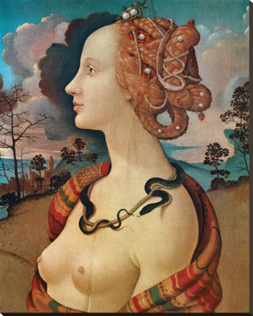 Rittrato Di Simonetta Vespucci by Piero Di Cosimo Pricing Limited Edition Print image